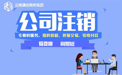 云南滇創(chuàng)商務 昆明專業(yè)公司注銷代辦與軟件開發(fā)服務