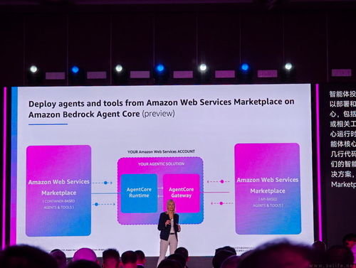 企業(yè)級軟件商店 亞馬遜云科技引領軟件開發(fā)新趨勢