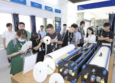 聰蓉網絡科技 數字浪潮中的創新領航者